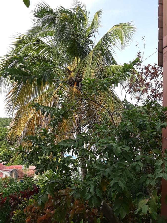 Les Hibiscus Apartamento L'Anse Noire Exterior foto